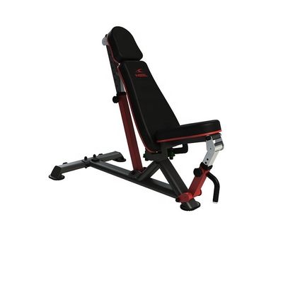 Home Sit Up Oefening Fitness-apparatuur Bumperplaat voor effectieve kernversterking