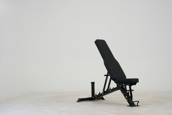 Verstelbare Power Dumbbell Press Sit Up Bench voor Indoor Fitness Training uit metaal