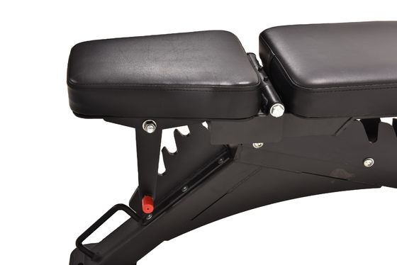 Verstelbare Gym Heavy Duty Bank voor Multifunctionele Fitness Oefening in 1210x742x450mm Grootte