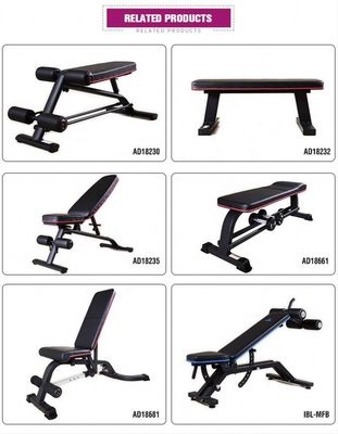 Verstelbare gebruiksbank voor bodyfit-apparatuur geassembleerde afmeting 1610*630*1310 mm